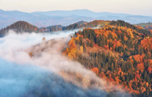 Sunrise Jesień Karpatach Malownicze Mglisty Poranek — Zdjęcie stockowe