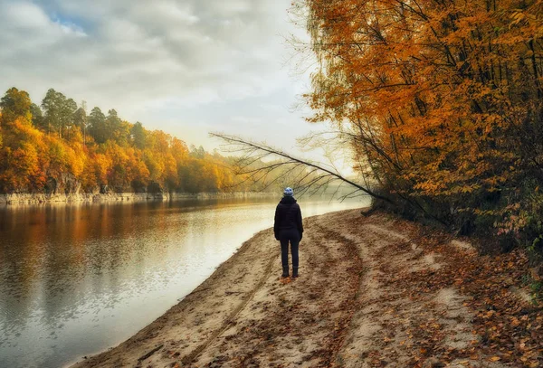 Foggy Forest Girl Autumn Forest Foggy Morning — Stock Photo, Image