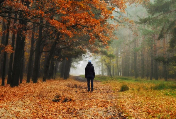 Forêt Brumeuse Fille Dans Forêt Automne Matin Brumeux — Photo