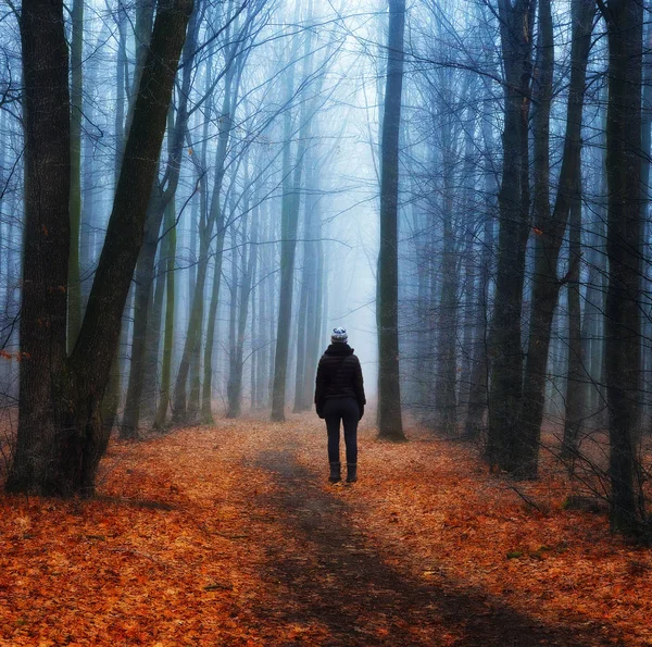 foggy forest. girl in the autumn forest. foggy morning