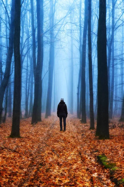 Foggy Forest Girl Autumn Forest Foggy Morning — Stock Photo, Image