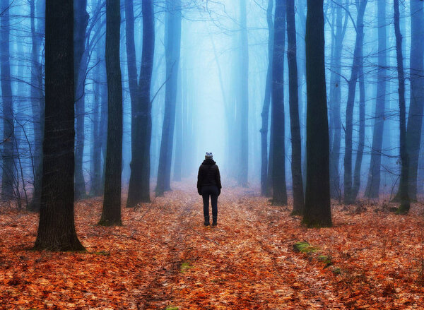 Foggy forest. girl in the autumn forest. foggy morning