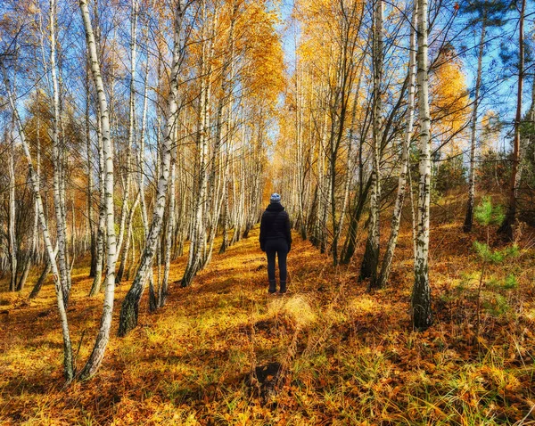 foggy forest. girl in the autumn forest. foggy morning