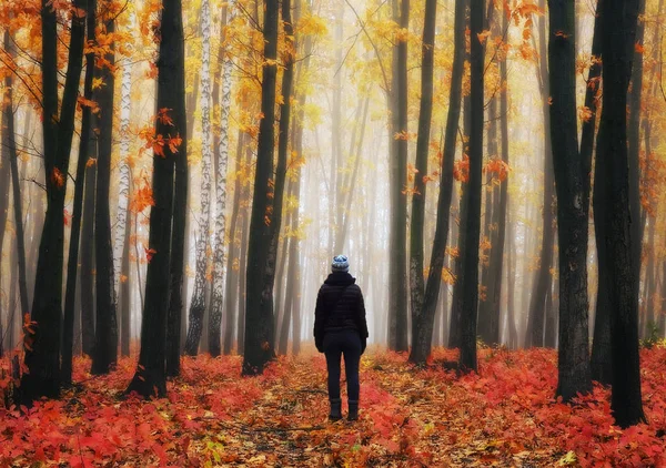 Forêt Brumeuse Fille Dans Forêt Automne Matin Brumeux — Photo