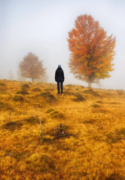 Foggy Forest Girl Autumn Forest Foggy Morning — Stock Photo, Image