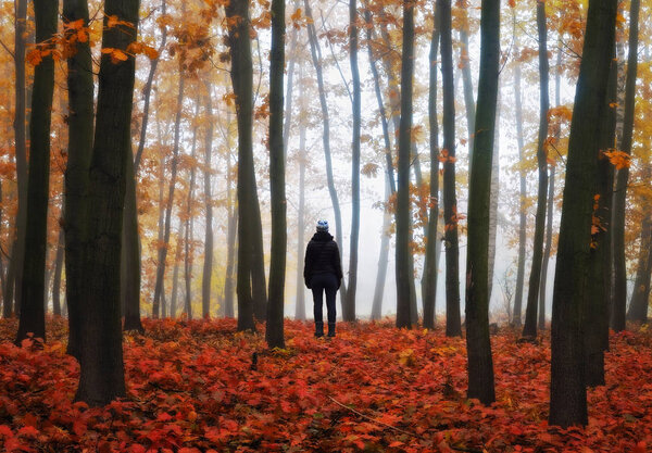 Foggy forest. girl in the autumn forest. foggy morning