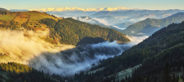 Manhã Outono Nas Montanhas Dos Cárpatos Amanhecer Nebuloso Cênico — Fotografia de Stock