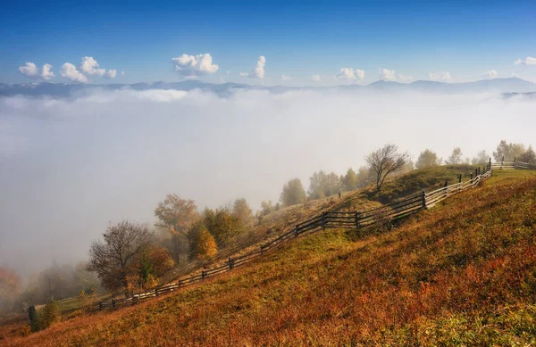 Sonbahar Sabahı Karpat Dağları Nda Doğal Sisli Şafak — Stok fotoğraf