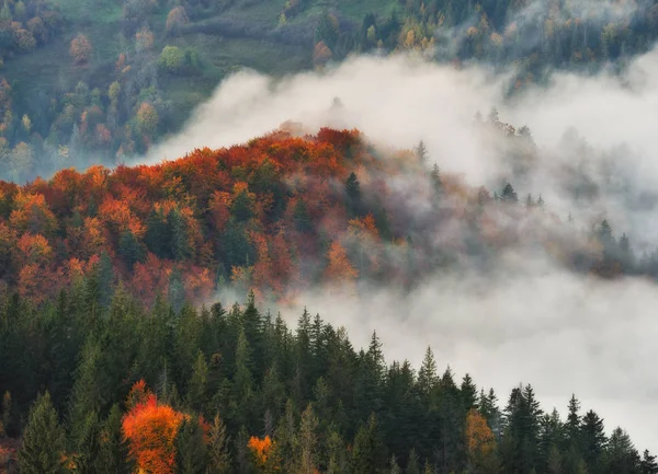 Jesienny Poranek Karpatach Malownicze Mglisty Świt — Zdjęcie stockowe