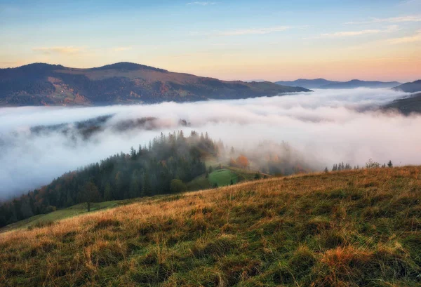 Mañana Otoño Las Montañas Los Cárpatos Amanecer Niebla Escénica — Foto de Stock