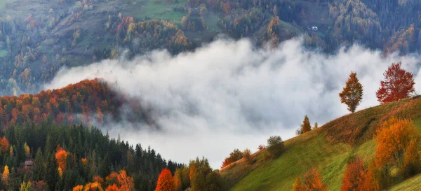 Mañana Otoño Las Montañas Los Cárpatos Amanecer Niebla Escénica —  Fotos de Stock