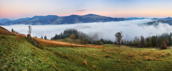 Mañana Otoño Las Montañas Los Cárpatos Amanecer Niebla Escénica — Foto de Stock