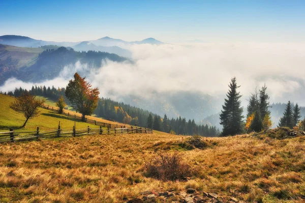 カルパティア山脈の秋の朝 風光明媚な霧の夜明け — ストック写真