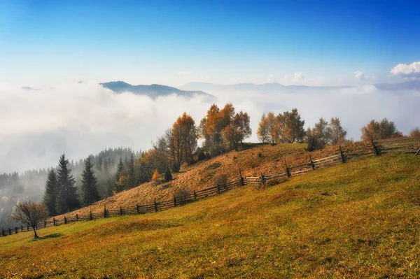 Podzimní Ráno Karpatských Horách Malebné Mlhavé Svítání — Stock fotografie