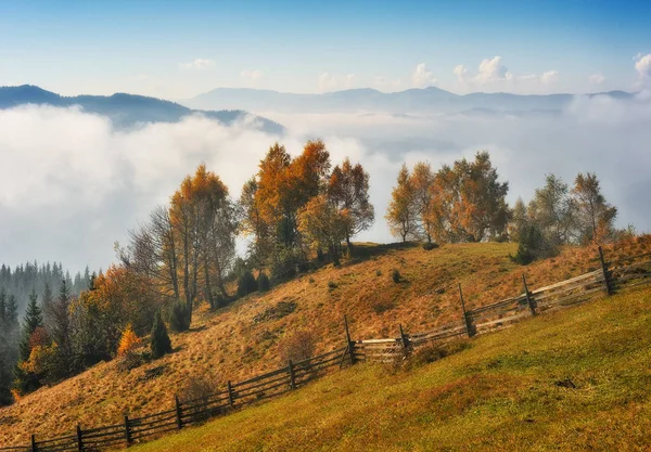 Matin Automne Dans Les Montagnes Des Carpates Aube Brumeuse Pittoresque — Photo