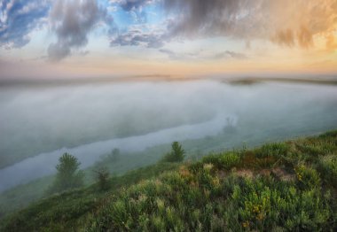 bahar çayır. Sisli sabah Nehri Vadisi