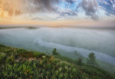 bahar çayır. Sisli sabah Nehri Vadisi