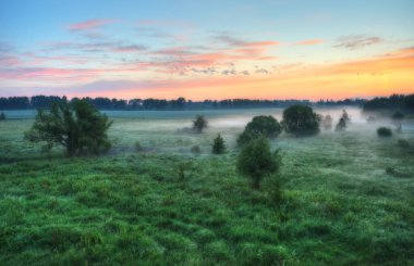 bahar çayır. Sisli sabah Nehri Vadisi