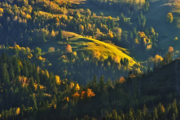 Autumn Sunset Karpatach Malownicze Wieczór Górach — Zdjęcie stockowe