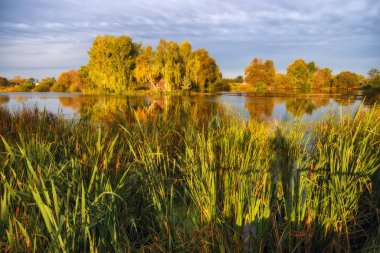 Adanın picturesque kulübe. Nehrin üzerinde köprü
