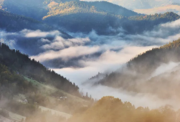 Sonbahar Gündoğumu Karpat Dağları Nda Pitoresk Sisli Sabah — Stok fotoğraf