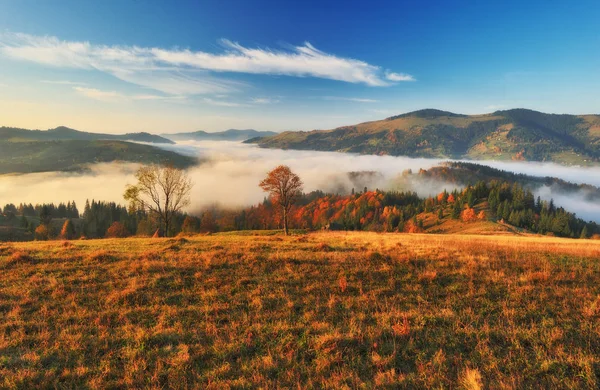 Mistige Ochtend Karpaten Herfst Mistige Dageraad — Stockfoto