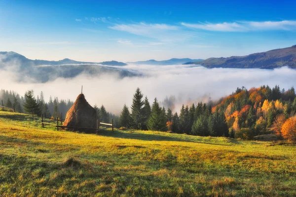 Nebliger Morgen Den Karpaten Herbstnebel — Stockfoto