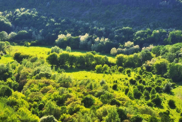 Malownicze Wiosenny Poranek Wschód Słońca Park Narodowy Natura — Zdjęcie stockowe