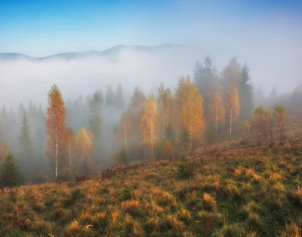 秋の日の出 カルパティア山脈の霧の朝 — ストック写真