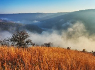 sis pitoresk nehir kanyonun üzerinden. sonbahar sabahı Milli Parkı