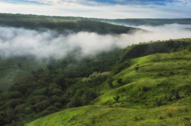 pitoresk bir nehir sisli Kanyonu. bahar şafak