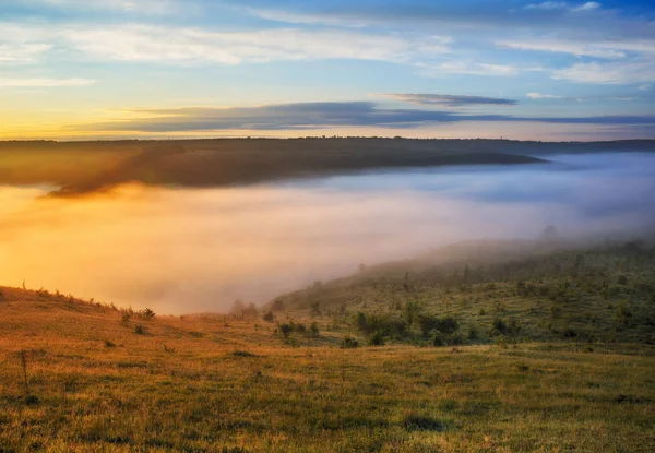 pitoresk bir nehir sisli Kanyonu. bahar şafak
