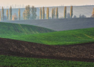 tepelik alan. bir kir alanının pitoresk dalgalar. tepelik Vadisi
