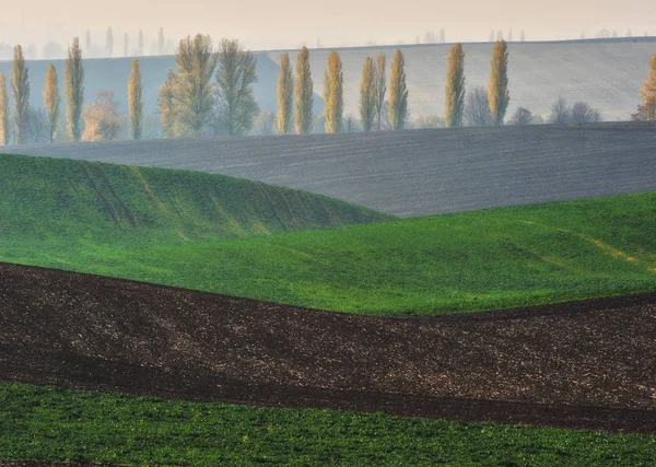 tepelik alan. bir kir alanının pitoresk dalgalar. tepelik Vadisi