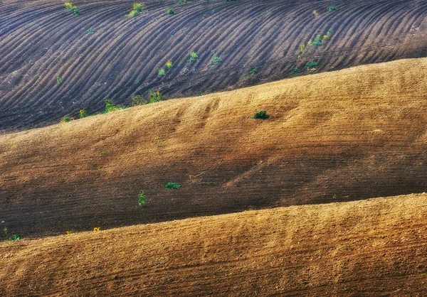 Campo Montanhoso Ondas Pitorescas Campo Terra Vale Montanhoso — Fotografia de Stock