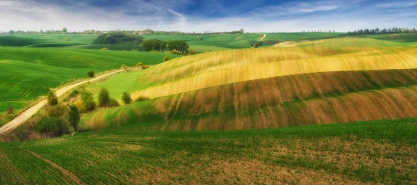 tepelik alan. bir kir alanının pitoresk dalgalar. tepelik Vadisi