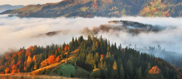 Pintoresco Amanecer Las Montañas Los Cárpatos Otoño Niebla Mañana — Foto de Stock