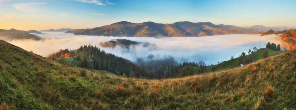 Pintoresco Amanecer Las Montañas Los Cárpatos Otoño Niebla Mañana — Foto de Stock