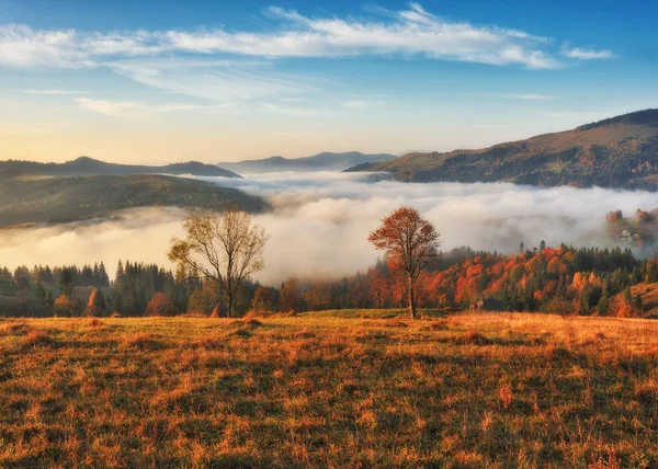 Pintoresco Amanecer Las Montañas Los Cárpatos Otoño Niebla Mañana — Foto de Stock