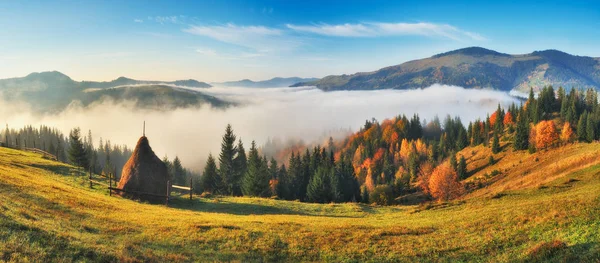 Güzel Gündoğumu Karpat Dağları Nda Sonbahar Sisli Sabahı — Stok fotoğraf