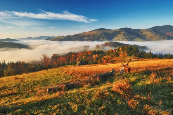 Güzel Gündoğumu Karpat Dağları Nda Sonbahar Sisli Sabahı — Stok fotoğraf