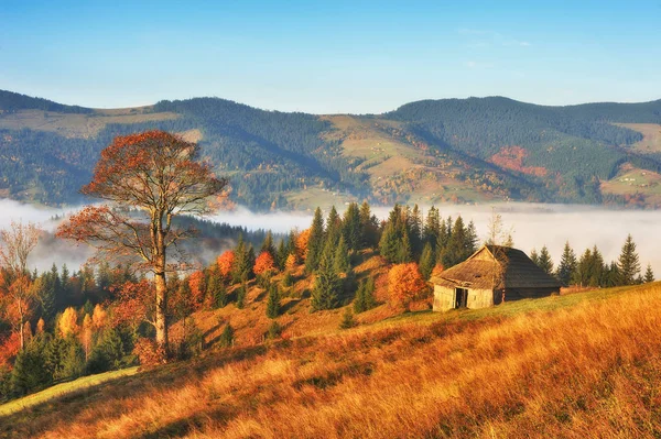 Picturesque Sunrise Carpathian Mountains Autumn Foggy Morning — Stock Photo, Image