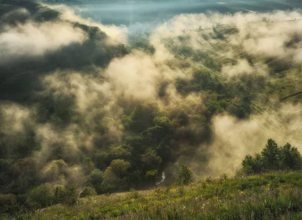 Desfiladeiro Nebuloso Rio Pitoresco Madrugada Primavera Manhã Parque Nacional — Fotografia de Stock