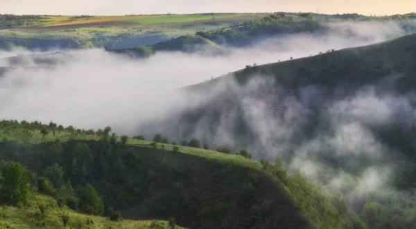 Nebelschlucht Eines Malerischen Flusses Frühlingserwachen Morgen Nationalpark — Stockfoto
