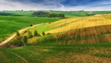 tepelik alan. bir kir alanının pitoresk dalgalar. tepelik Vadisi