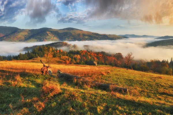 Malowniczy Wschód Karpatach Mglisty Poranek Jesienią — Zdjęcie stockowe