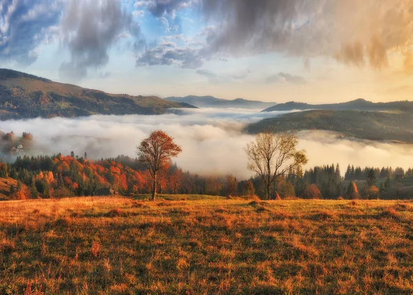 Güzel Gündoğumu Karpat Dağları Nda Sonbahar Sisli Sabahı — Stok fotoğraf