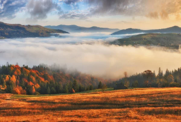 在喀尔巴泰山脉如诗如画的日出 秋天雾蒙蒙的早晨 — 图库照片
