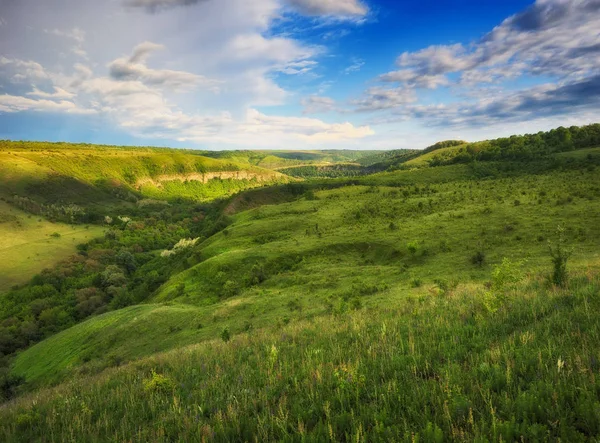 picturesque river Kanyonu. bahar sabahı Milli Parkı içinde