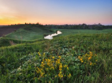 bahar sabah pitoresk Nehri Vadisi. bahar sis